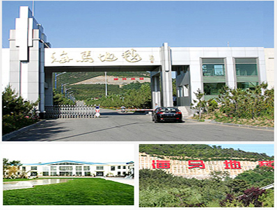 專注于地毯制造65年